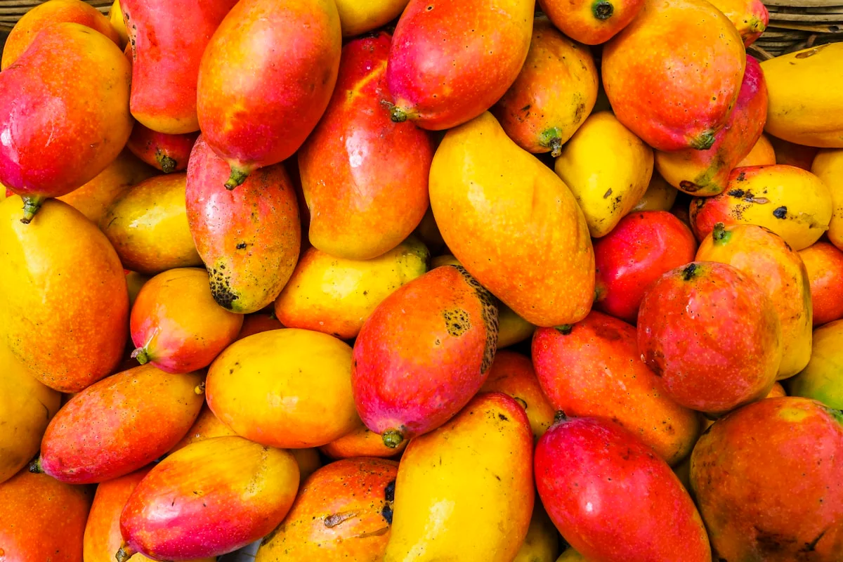Mango: Macros, Sugar, Glycemic Index & How to Eat It Right
