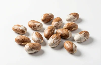 jackfruit seeds
