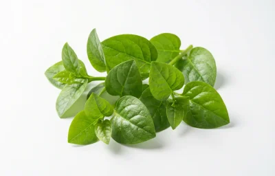 babori leaves