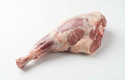 sheep leg