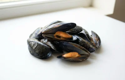 kadal bral
