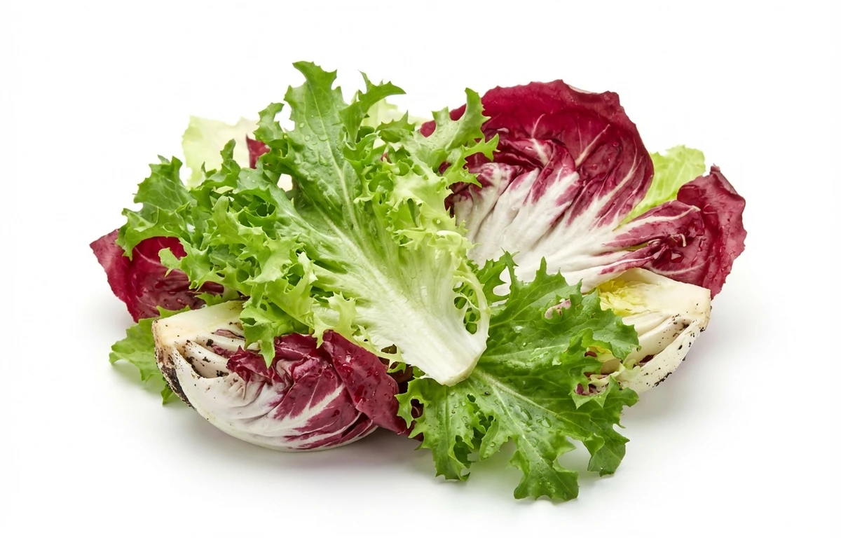 raw chicory greens
