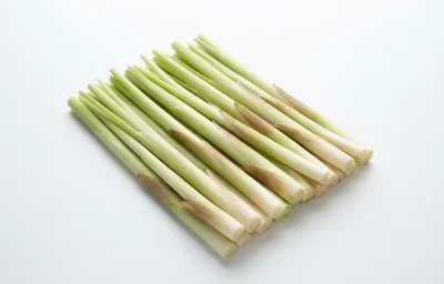 narrow leaf shoots cattail