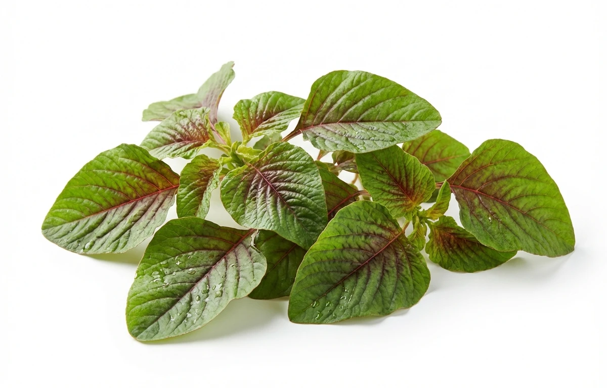 Chawli Leaves