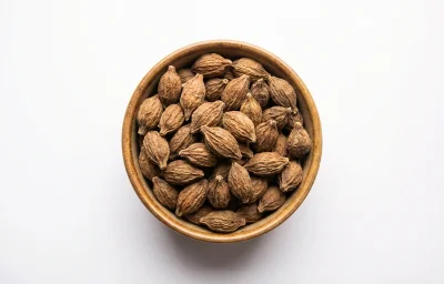 kapok buds