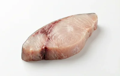 shark fish