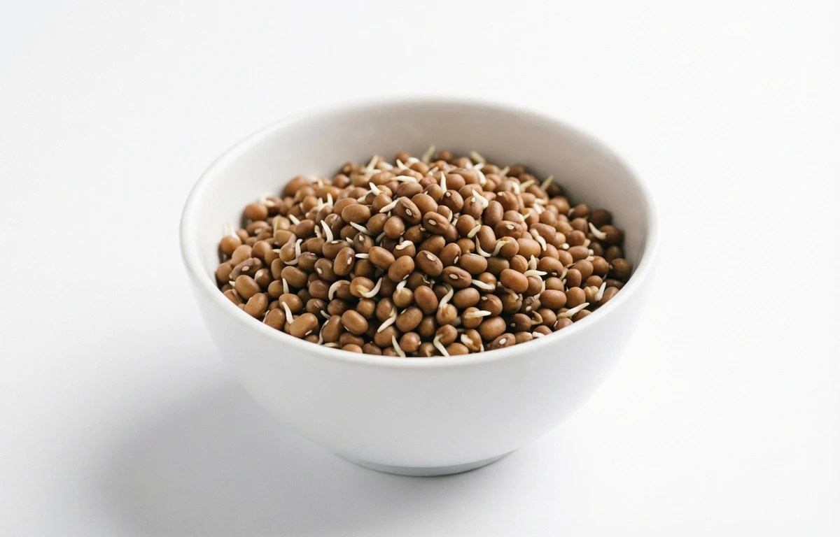sprouted moth beans