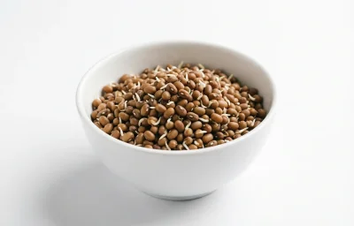 sprouted moth beans