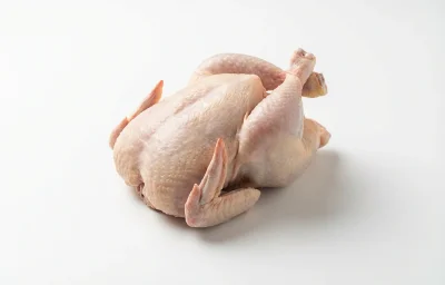 raw cornish game hen