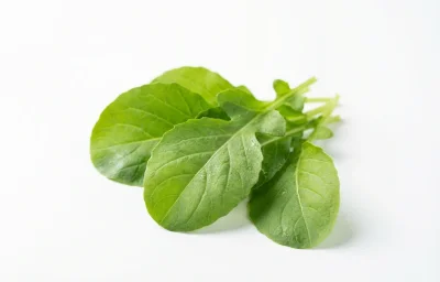 green gogu leaves