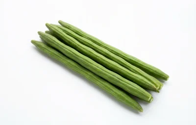 drumstick tree