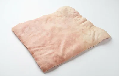 pork skin
