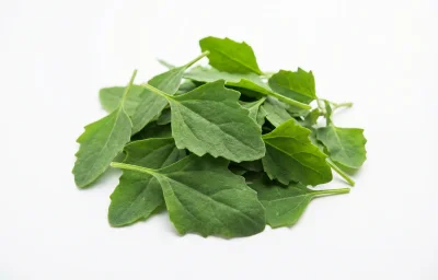 bathua leaves