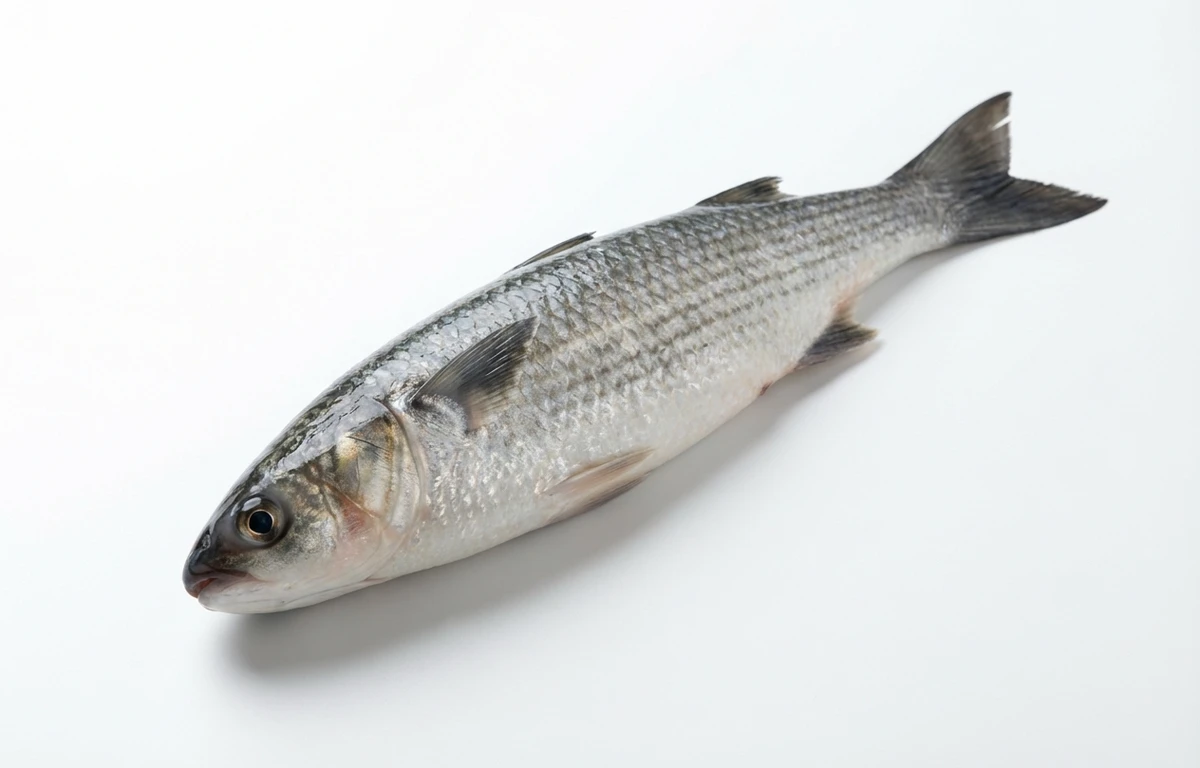 mullet