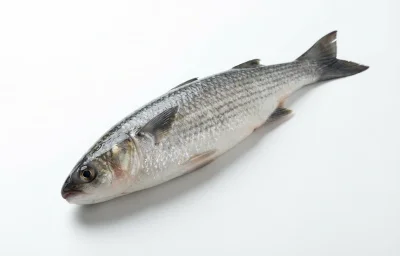 mullet