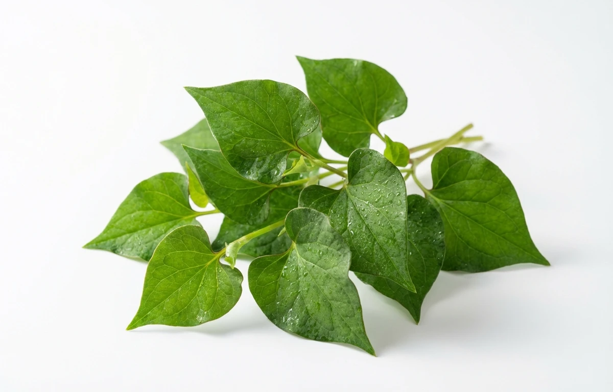 heartleaf