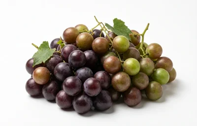 raw muscadine grapes