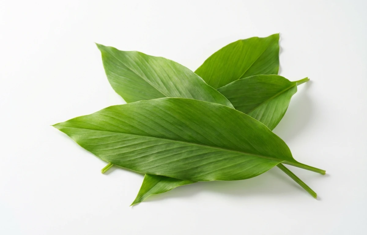 turmeric leaves