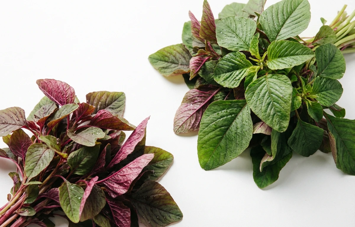 amaranth greens