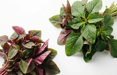 amaranth greens