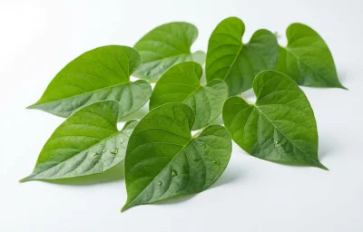 skunk vine leaves