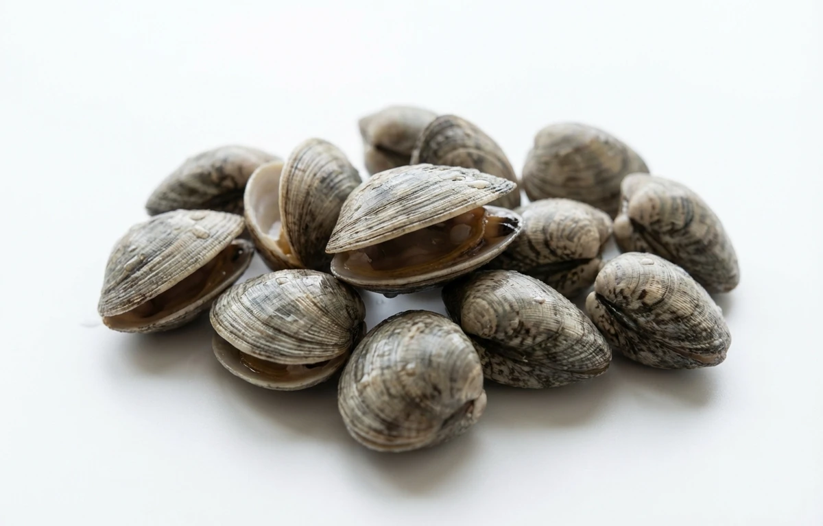 littleneck clams
