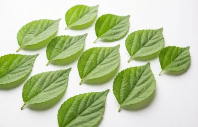 jute leaves