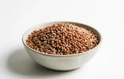hard red spring wheat