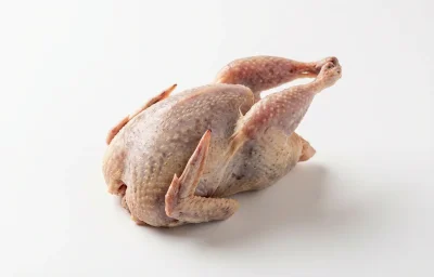 quail