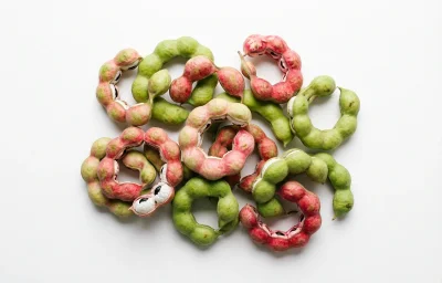 manila tamarind