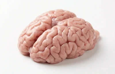 raw lamb brain