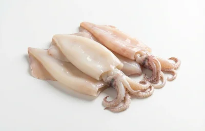 squid