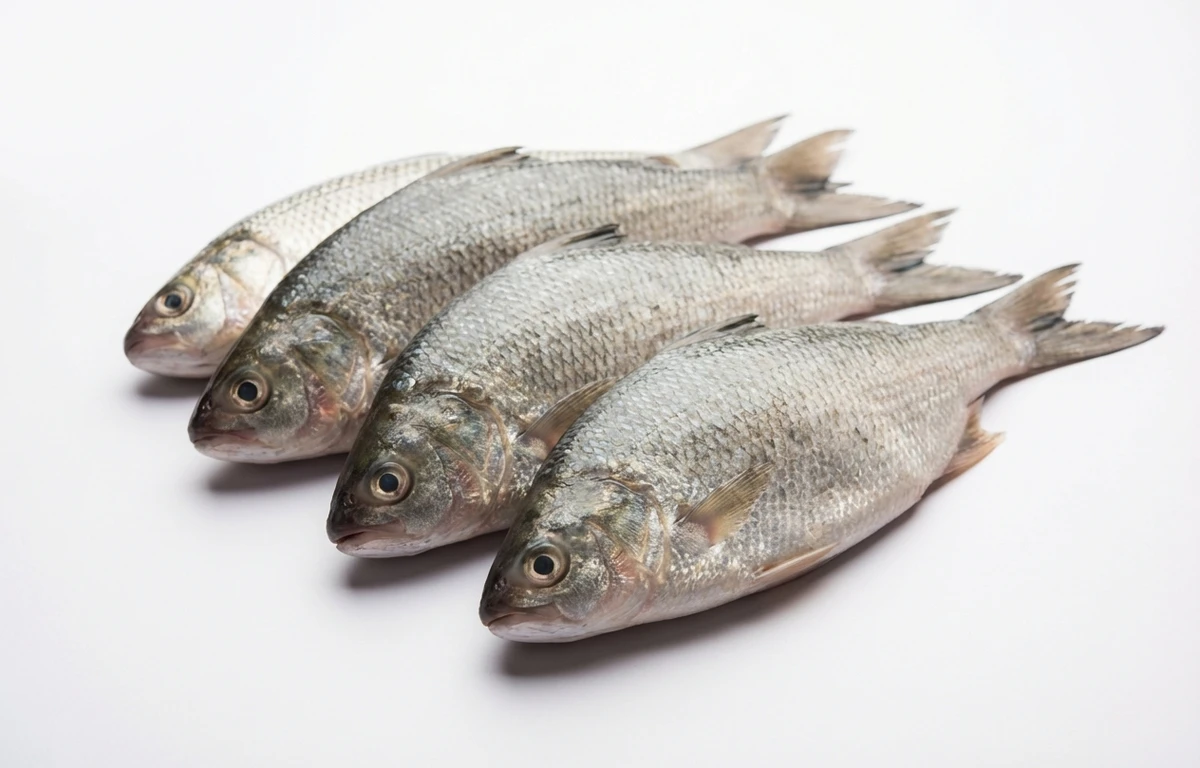 Bommidalu Fish