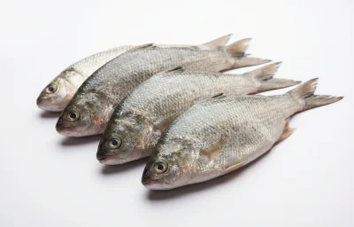 Bommidalu Fish
