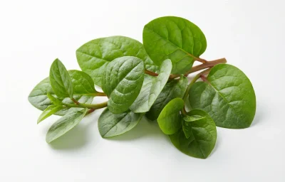basella leaves