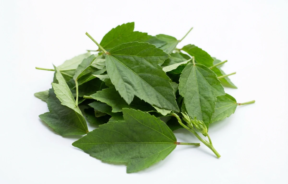 ambadi leaves