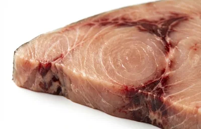 swordfish