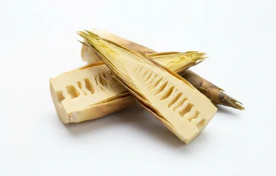 Young Bamboo Tubes