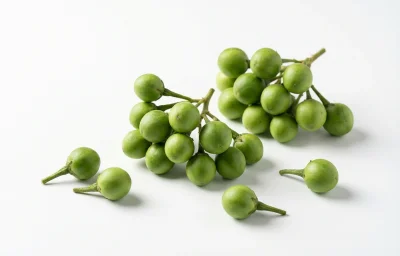 turkey berry