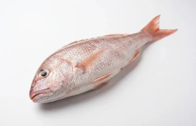jathi vela meen