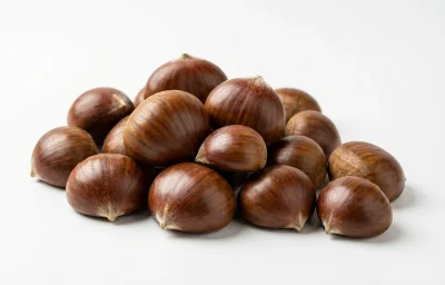 raw unpeeled european chestnut