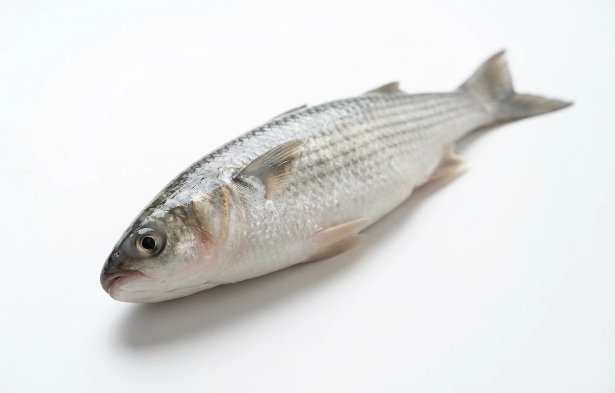 Parshe Fish